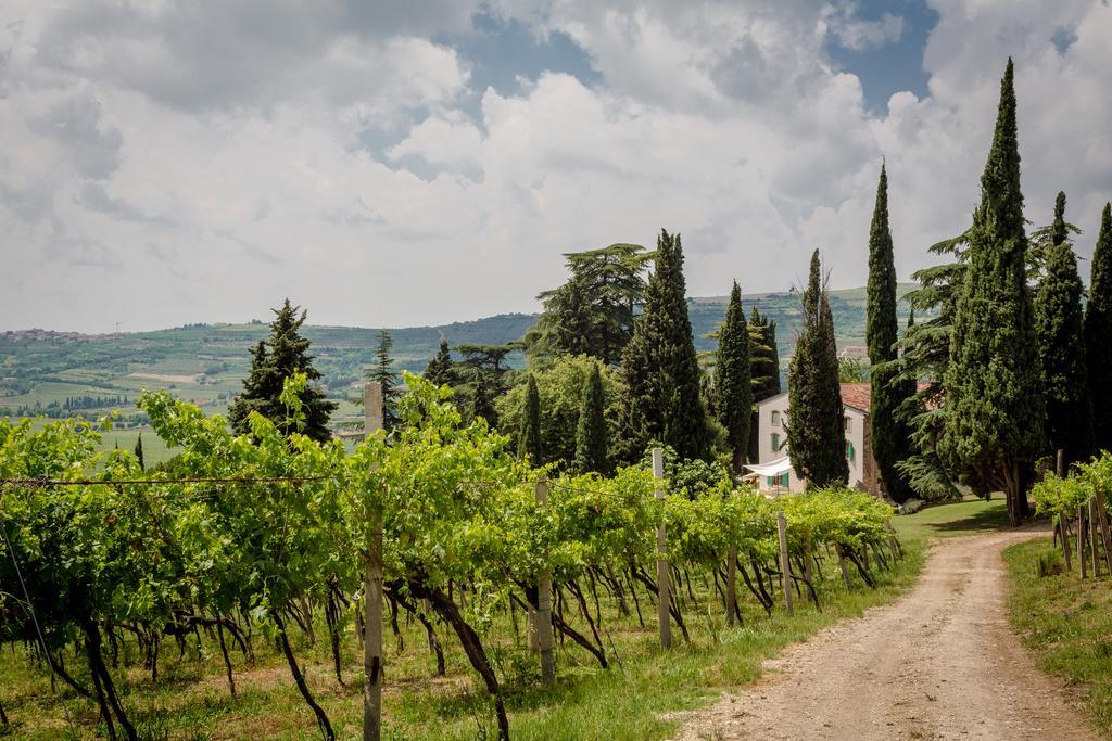 Massimago Wine Relais Villa Mezzane di Sotto Exterior foto