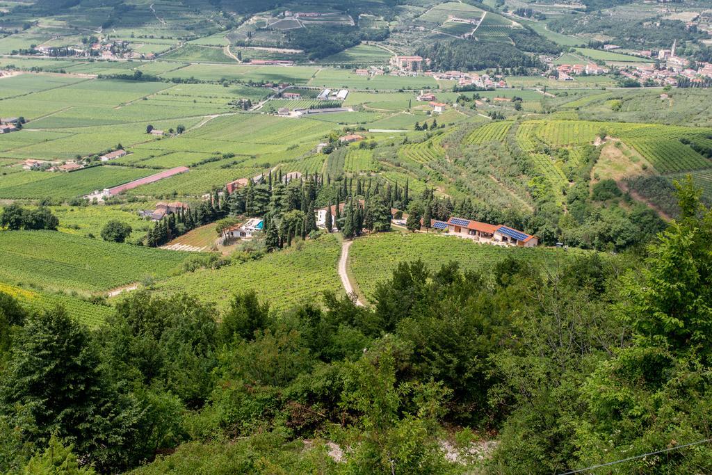 Massimago Wine Relais Villa Mezzane di Sotto Exterior foto
